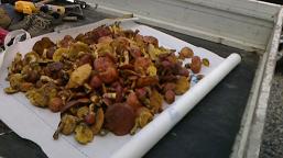 �����ڂ�